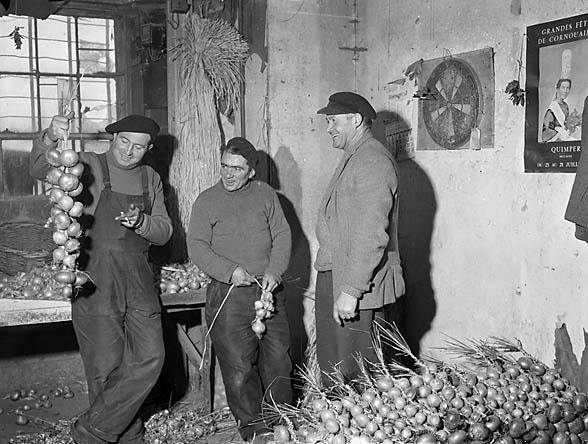 'Johnny Onions' tying strings of onions at Porthmadog, 20 ...