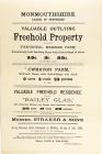 Advertisement for the auction of Penyrheol...