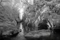 The Fairy Glen gorge at Betws-y-Coed, North Wales