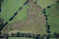  HAFOD-FAWR, ROMAN CAMP