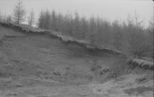  Earth bank at Nant-y-Gwyrdy