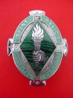 St David's Hospital Cardiff Nurses Badge