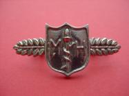 Morriston Hospital Cap Badge