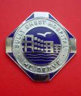 Sully Chest Hospital Nurses Badge