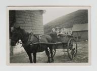 Children in Horse and cart