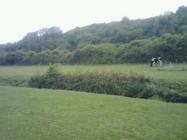 Collugh Meadow