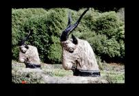 Goat statues Cyfarthfa Castle