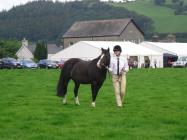 Llanilar Show 2010