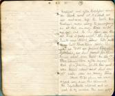 Edgar Wynn Williams Diary, 2-9 Jan 1916