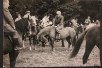 Pony trekking, Llanwrtyd Wells (27) 