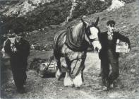 Up the corkscrew hill from Nant Gwrtheyrn c1935