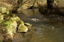 View of the River Duad at Castell Henllys,...