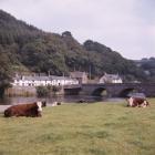 Pont ar Ddyfi bridge, Machynlleth, 1980