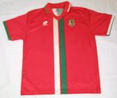 Welsh international football shirt worn by Mark...