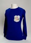 Replica of Cardiff City Football Club shirt...