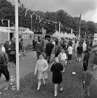 Urdd National Eisteddfod, Carmarthen 1967