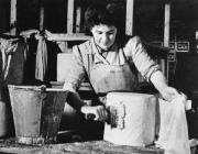 Cheese making at the Creamery in Llandyrnog