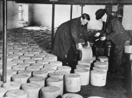 Grading the finished Llandyrnog cheese