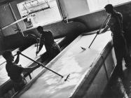 Cheese making in progress at Llandyrnog Creamery