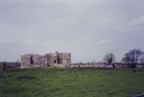 Carew Castle, Carew