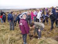 School Children Tree Planting