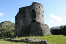 Dolbadarn Castle, 2008