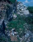 Coygan Cave (Carmarthenshire). No human remains...