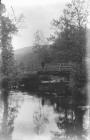 Llangollen. The Eglwyseg Stream