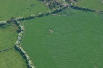 STANDING STONE BETWEEN BOD DEINIOL AND GLAN-ALAW