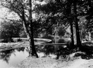 Llangollen. The Horseshoe Falls