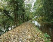 RAISED CANAL EMBANKMENT ABOVE RIVER TAWE, TREBANWS