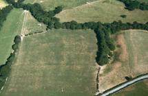 BRECHFA II, CROPMARK ENCLOSURE SOUTH-EAST OF