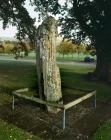 CWRT-Y-GOLLEN STANDING STONE