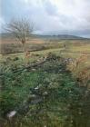 SARN HELEN, SECTION OF ROAD NE OF COELBREN FORT