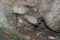 COED Y GAER: BREAD OVEN