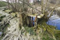 TREFOR MILL DAM