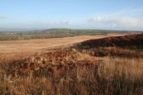 BURNT MOUND, CEFN BRYN