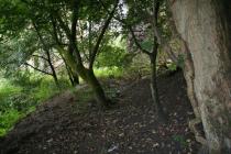 CHIRK CORNMILL WATERCOURSE, LLANGOLLEN CANAL...