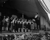 Llangollen International Musical Eisteddfod,...