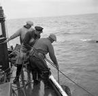 Lobster fishing at Aber-soch, 5 July 1956