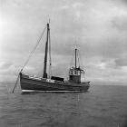 Lobster fishing at Aber-soch, 5 July 1956