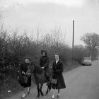 Dolgellau Fair, 26 April 1956