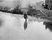 Gwynedd River Authority stocking the rivers...