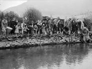 Gwynedd River Authority stocking the rivers...