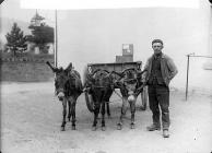 Llanfair carrier with his donkeys, c. 1885