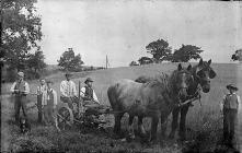 Hay making, c. 1875