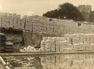 Oyster cultivation at Conwy, 1921