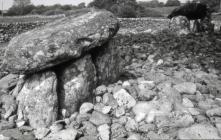 Cromlech, Tal-y-bont, Merionethshire