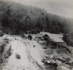 Tyddyn Gwladys Gold Mine, Merionethshire