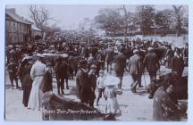 Cattle Fair, Haverfordwest, c. 1900